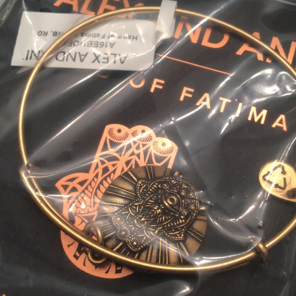 Alex and Ani hand bangle